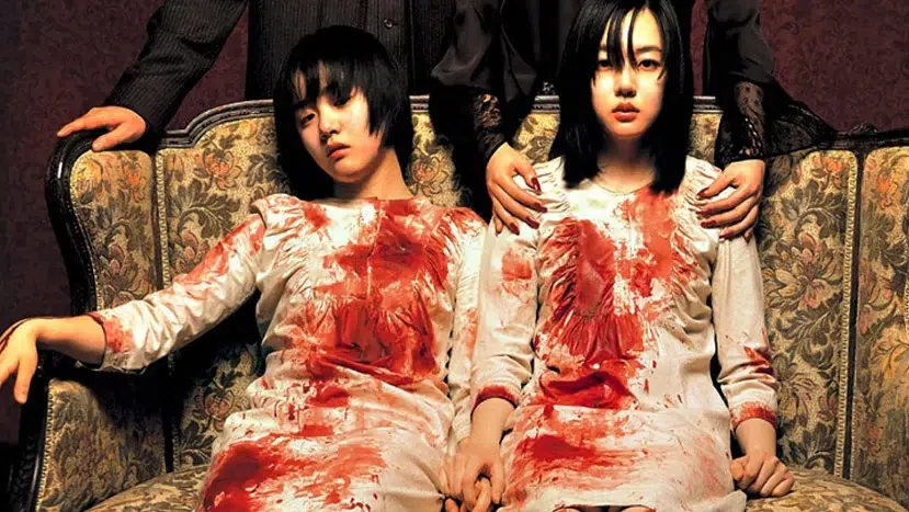 a tale of two sisters 2003,ตู้ซ่อนผี